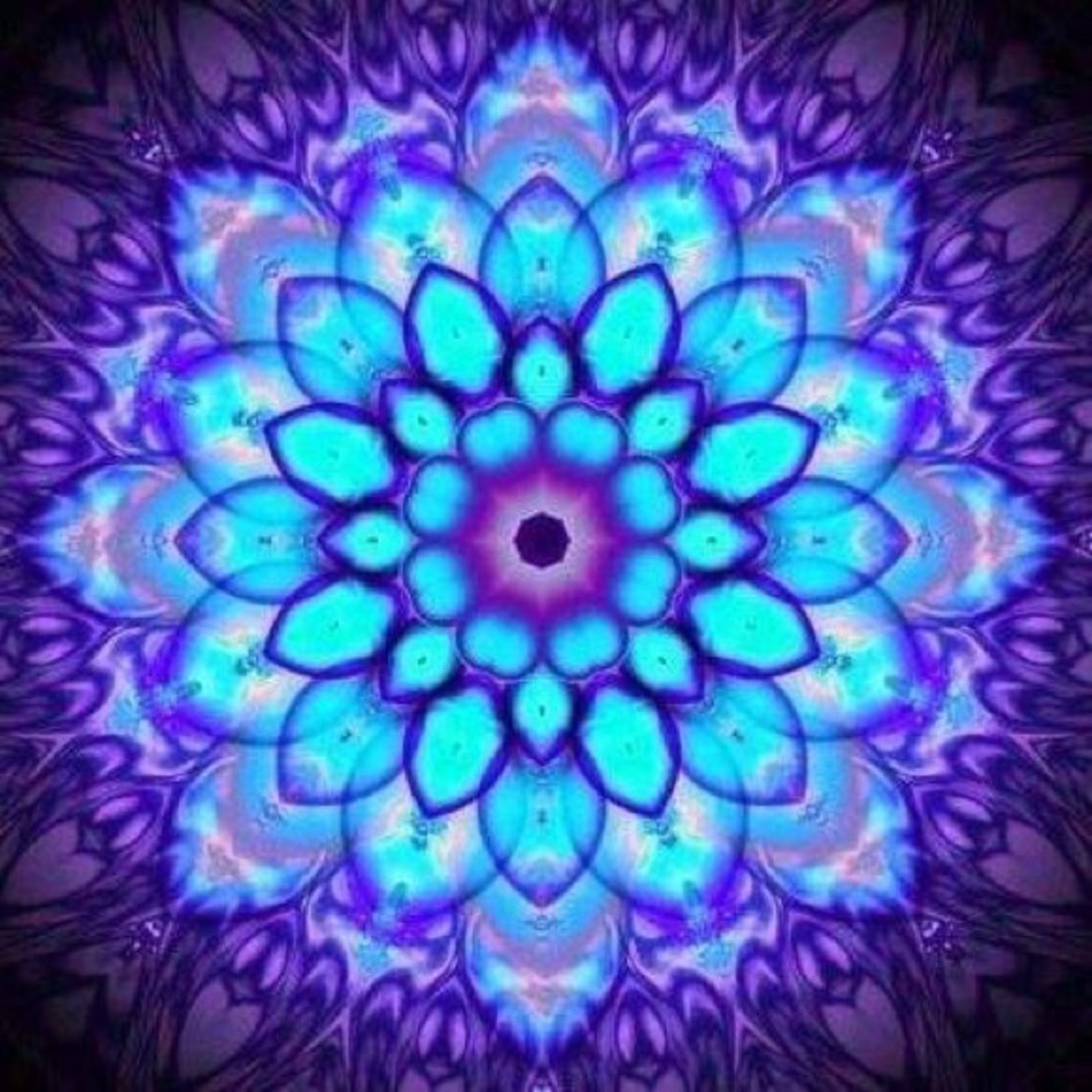 Meet your Posher, Kelli